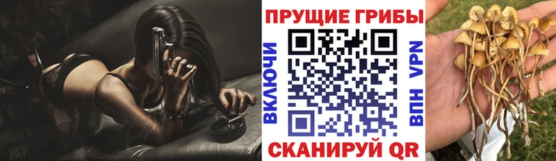 Псилоцибиновые грибы мицелий  магазин продажи   Снежинск 